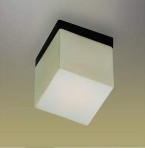 /UserFiles/Image/Odeon/img19382_22281.jpg