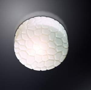 /UserFiles/Image/Odeon/img19905_26538.jpg
