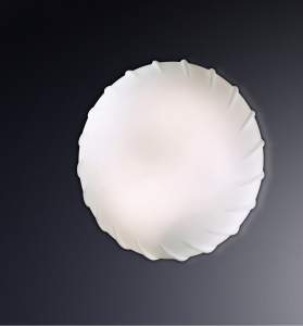 /UserFiles/Image/Odeon/img20115_66172.jpg