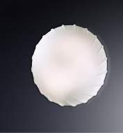 ���������� ���������� OPAL
