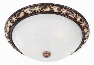 ���������� ���������� PLAFOND