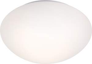 /UserFiles/Image/globo/img10346_20216.jpg