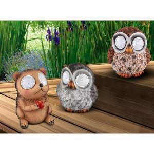 /UserFiles/Image/globo/img25479_10744.jpg