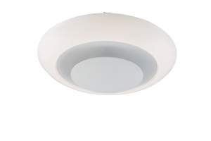 /UserFiles/Image/globo/img9845_80035.jpg