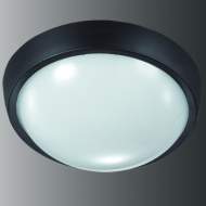 ������������ ���������� OPAL