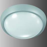 ������������ ���������� OPAL