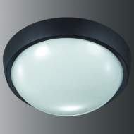 ������������ ���������� OPAL