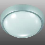 ������������ ���������� OPAL
