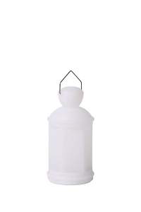 /UserFiles/Image/lucide/img15043_19716.jpg