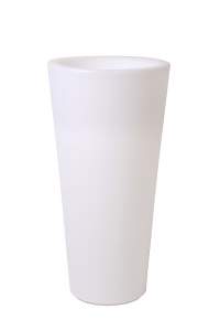 /UserFiles/Image/lucide/img15046_40044.jpg
